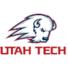 犹他理工大学 犹他理工大学